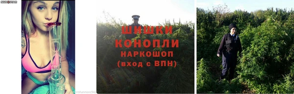 PSILOCYBIN Алексин