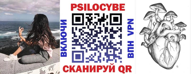 Псилоцибиновые грибы мухоморы  кракен как войти  Ковылкино  как найти закладки 